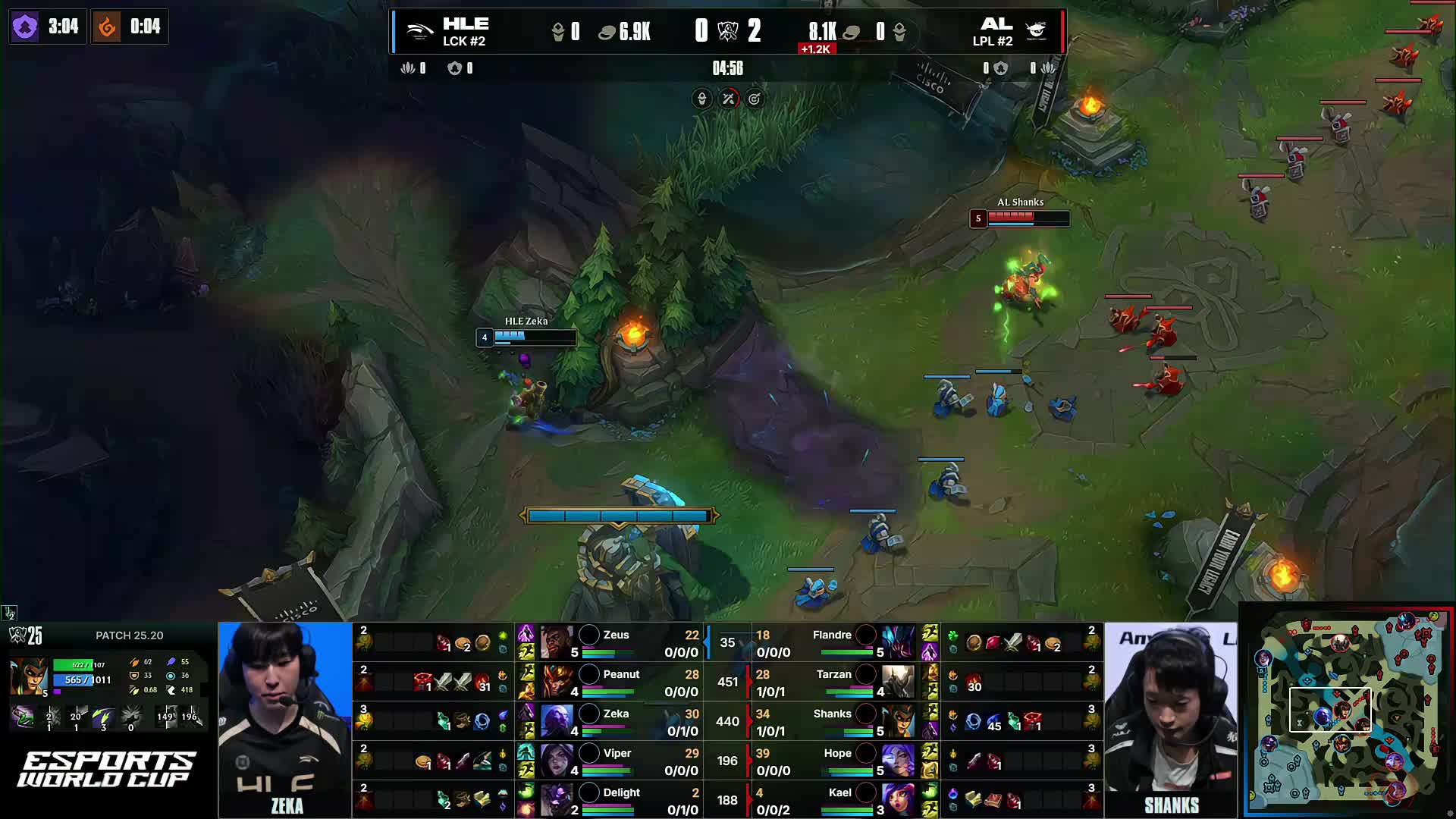 的放大镜下 的放大镜下